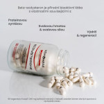 Ecdysterone - Anabolizéry