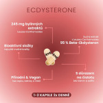 Ecdysterone - Anabolizéry