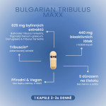 Bulgarian Tribulus MAXX - Stimulanty testosterónu