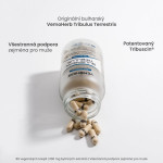Tribulus Terrestris - Stimulanty testosterónu