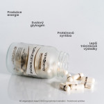 Turkesterone - Anabolizéry