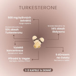 Turkesterone - Anabolizéry